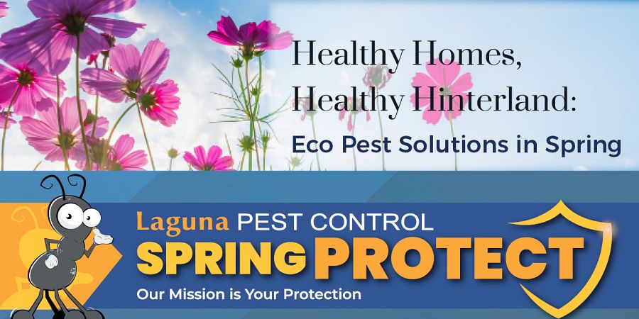 Healthy Homes, Healthy Hinterland: Eco Pest Solutions in Spring