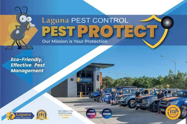 Termite-Protect Your Noosa Hinterland Home for Sale